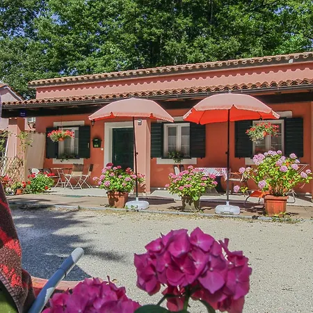 Dalibor In Jakacici - Haus Fuer 2-4 Personen 別荘 Gračišće